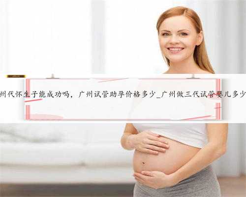 广州代怀生子能成功吗，广州试管助孕价格多少_广州做三代试管婴儿多少钱