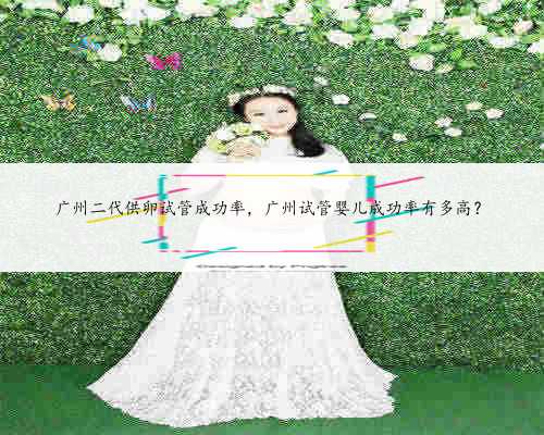 广州二代供卵试管成功率，广州试管婴儿成功率有多高？