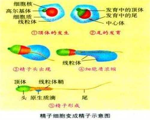 广州代孕机构:青少年及小儿卵巢肿瘤的危害有哪