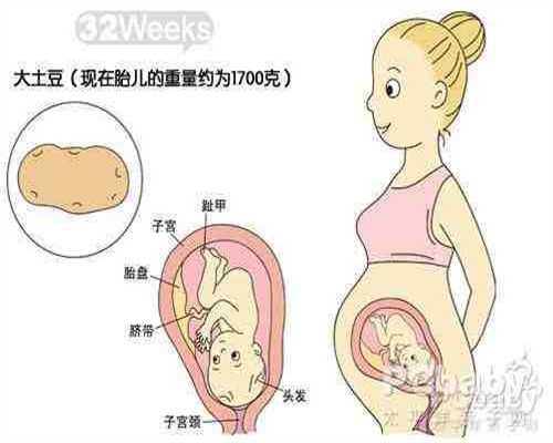 京城代孕~试管婴儿借卵收费吗~吃鹅蛋真能去胎毒
