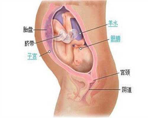 上海代怀孕联系电话-试管婴儿成功率排名